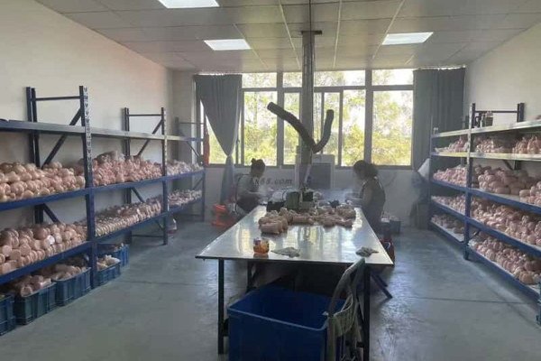 Adult product surface finishing and inspection workshop