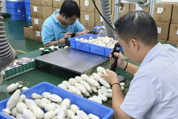 Adult toy quality inspection during private-label production