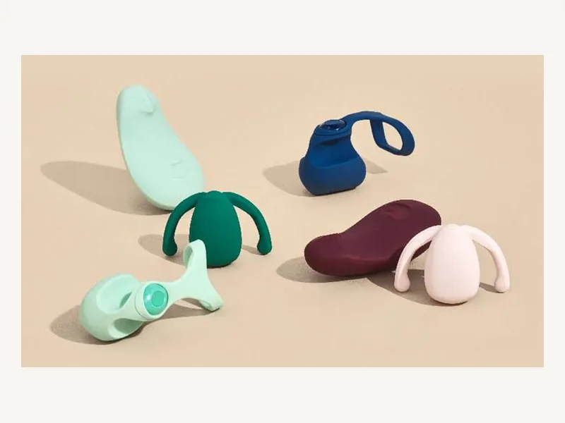 Original adult toy product forms shown for concept review