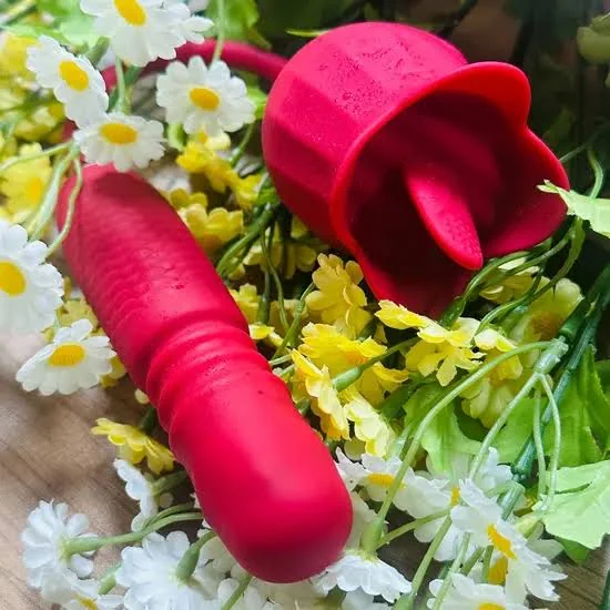 Rose Vibrator Full Product Finish Presentation Complete red rose vibrator product presentation for assembly and finish review